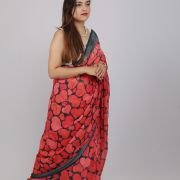 Dilruba Elegant and Romantic