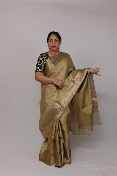 Nita Saree Brocade Silk