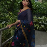 pakhiphool-butterfly-and-flower