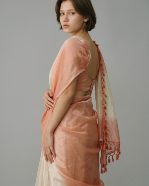 Shiffon Fancy   Saree