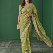 Shimmer Work Saree